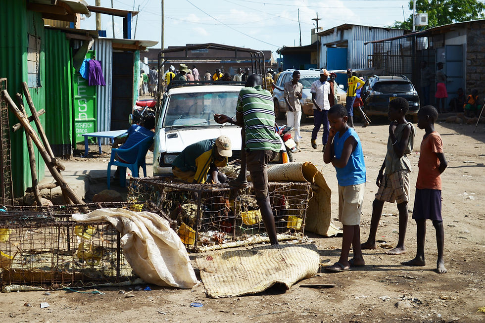 Men and boys gather around wire cages and a white car on a dusty street, with a green Postes sign and market shacks.