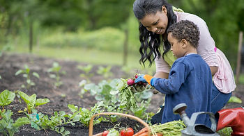 gardening